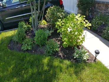 Garden care