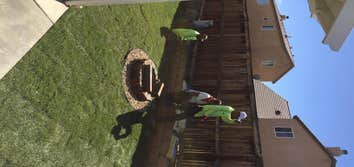 Landscaping