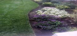 Photos by Salinas Construction & Landscape LLC #1