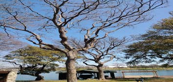 Photos by Atx Blue Star Tree Service #1