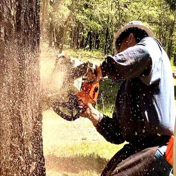 Underdog Timber Felling, LLC