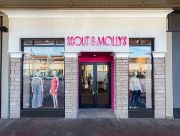 Scout and Molly Commercial Construction