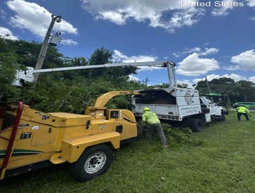 Photos by Arbobella Tree Service #1