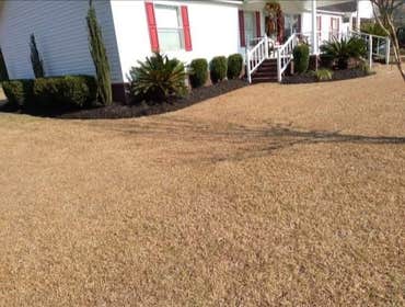 Photos by Affordable Landscape & Irrigation LLC #1 Landscape, Lawn Care Maintenance & Irrigation