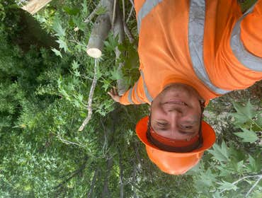 Photos by Trinity Tree Service #1