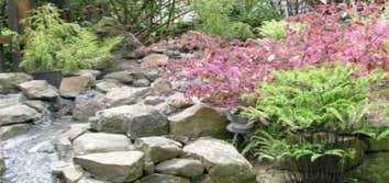 Ecological Design Working with nature to enhance our surroundings
