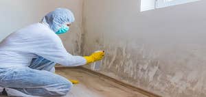 Photos by Mold Experts of Roswell #1