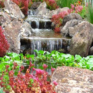 Pond Pro Project