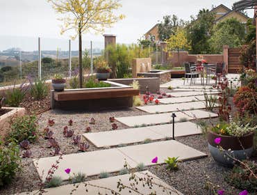 Photos by Promised Path Landscape Inc. #4