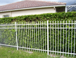 Fences