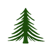 Pineland Contracting Services logo