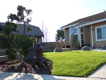 Drought tolerant yard design