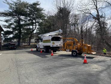 Photos by Owen's Tree Expert LLC #3