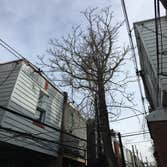 Photo(s) from Treeworkz, LLC