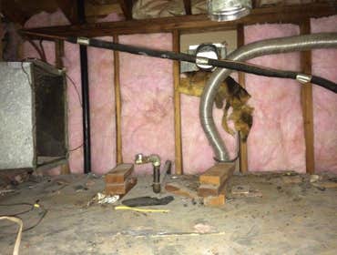 Photo(s) from United Restoration & Construction Inc