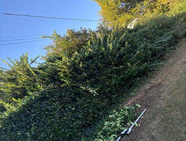 Photos by Beauty Meister Landscaping LLC #2
