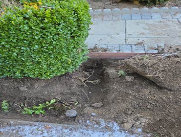 Photos by Mv Top Landscaper LLC #1
