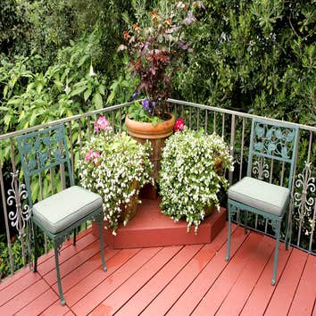 Landscapes and Outdoor Services