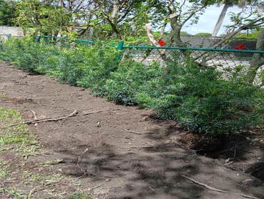 The Grace Landscaping LLC