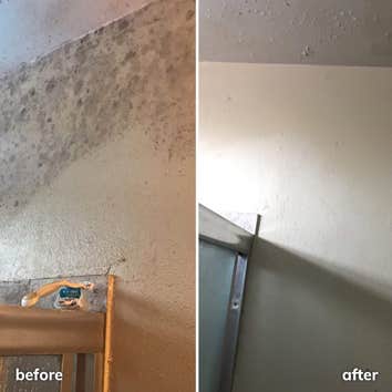 Orange Restoration San Diego