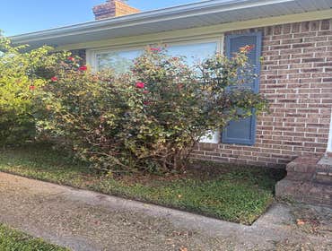 Photos by Beauty Meister Landscaping LLC #2