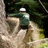 Waraner Bros Tree Service logo