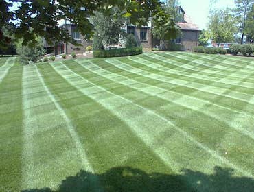 residential lawn care