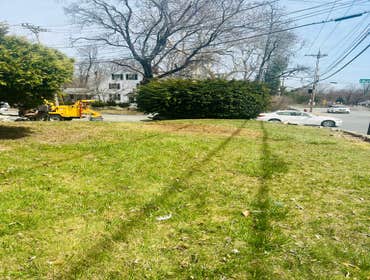 Photos by Yandi's Tree Service #10