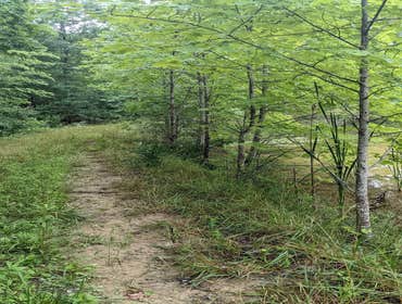 Road Before