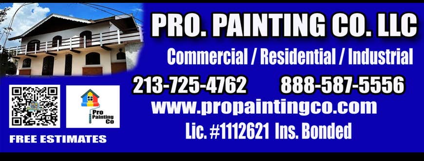 Pro Painting Co Llc