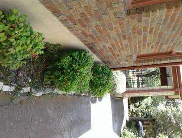 Photos from Browns Outdoor Tree Service