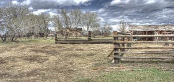 Purdy Mesa Project Four Acres in Purdy Mesa, Colorado that needed mitigated really bad. There were several old buildings that I had to work around but 