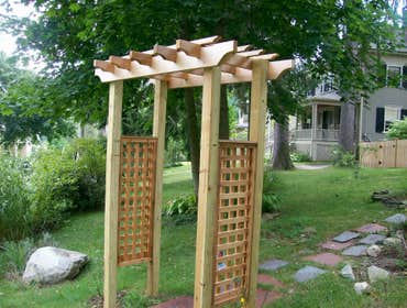 Cedar