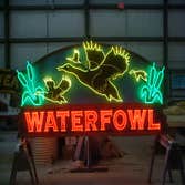 Neon Signs