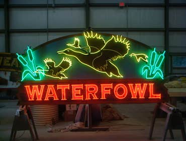 Neon Signs