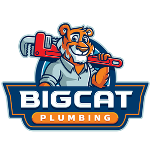 Photos by Big Cat plumbing #1