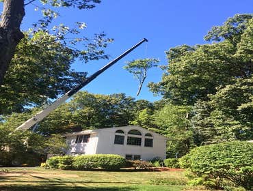 Photos by Princeton Tree Services, Inc #1