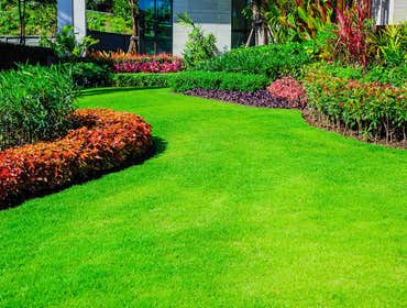 Photos by Ocote Landscaping #1