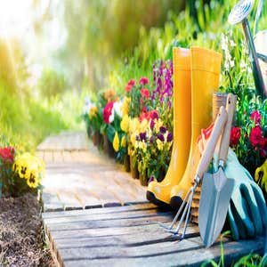 Photos by Bermudez Gardening Services #3