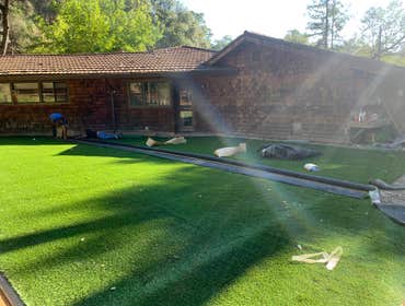 Photos by NorCal Easy Green Synthetic Lawn #1