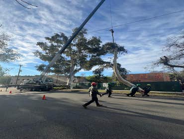 Photos by California Green Tree Care #1
