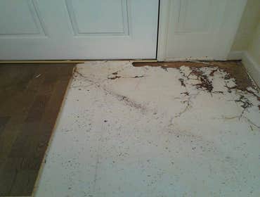 Photos from Professional Installed Wood Floors
