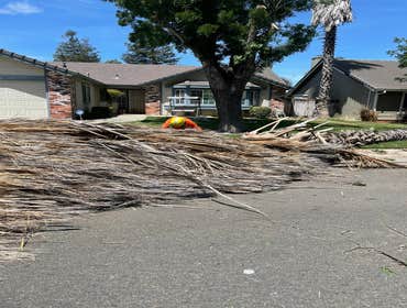 Photos by Discovery Tree Care, Inc #5