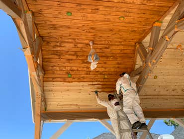 Photos by Restoration Paint Company LLC #1