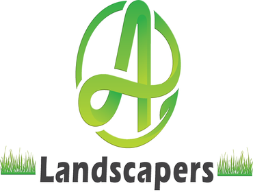 AP Logo
