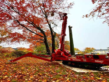 Photos by ALX Tree Services LLC #1