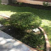 Photos by Marathon Lawn Care and Services #1