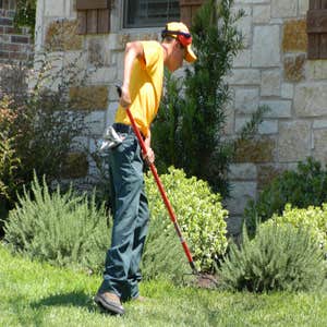 Photos by The Grounds Guys of Georgetown #1