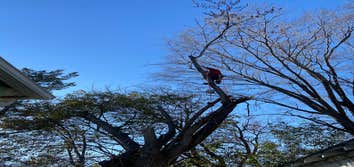 Jl Tree Service