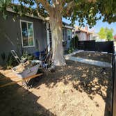 Pasadena Front Yard Project